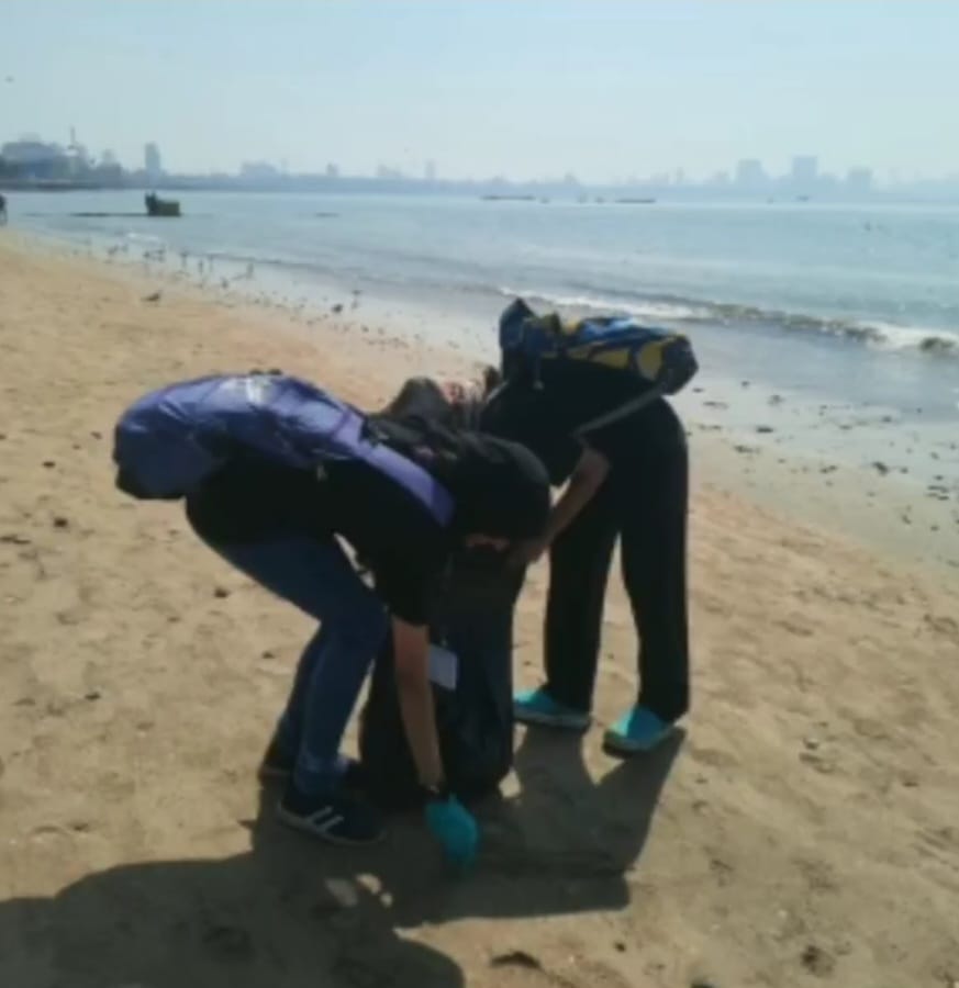 Beach after cleanup